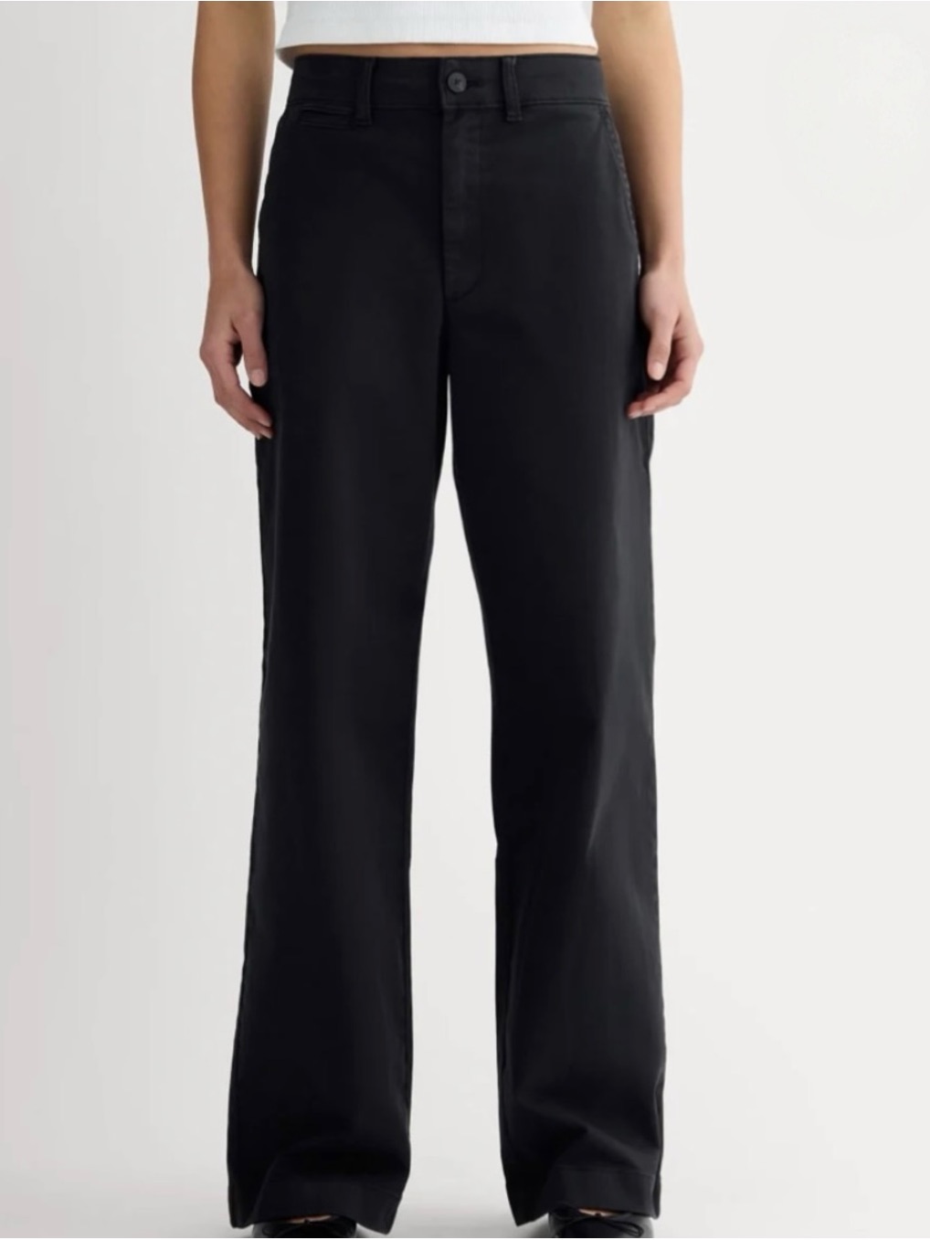 Nwt- Everlane High-Waist Straight Leg Cotton Chino Pants- Women’s Size 16